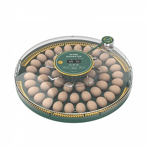 [Hot Item] Wonegg Home Use 52h Egg Incubator Hatching Machine
