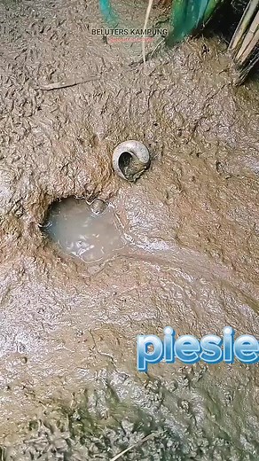 3.5K reactions · 24 shares | This is a new strategy you can use to catch Eels, #piesie #藍藍 | Piesie Asante | Facebook