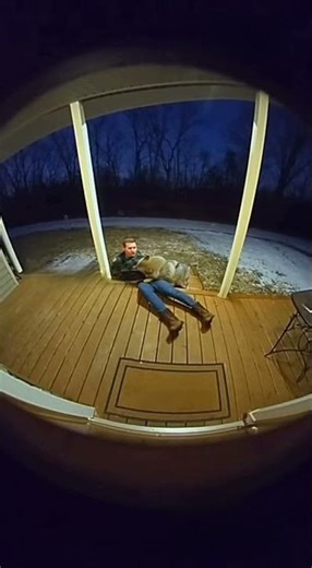 Wolf Attack Human | Angry Animals | Crazy Animals | Viral Videos | Funny Videos | Savage Animals