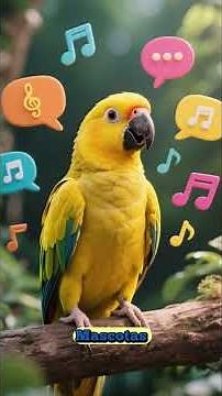 "El Loro Amarillo: Características y Conservación"
