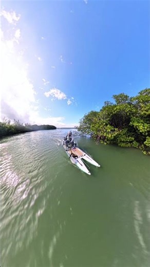 The NT300 from Newport Vessels is undeniably a fantastic motor. Powerful and efficient!