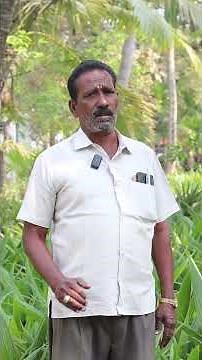 அரசம்பட்டி நாட்டு தென்னை மரங்கள் பற்றி தெரியுமா? | Arasampatti coconut tree | hybrid coconut tree