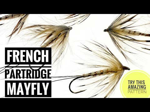 French partridge mayfly tutorial. Awesome dry fly for trout 🎣 Check it out!