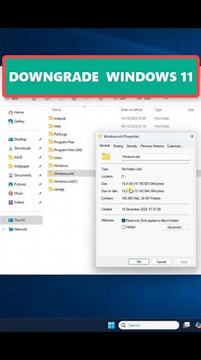 DOWNGRADE Windows 11 ke Windows 10/Versi Sebelumnya dengan Recovery GO BACK #windows11 #downgrade