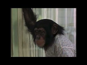 The Monkey’s Uncle (DVD Trailer, 2011)