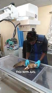 30 Years of Saving Wildlife | 51,827 Lives Rescued | PfA Wildlife Hospital