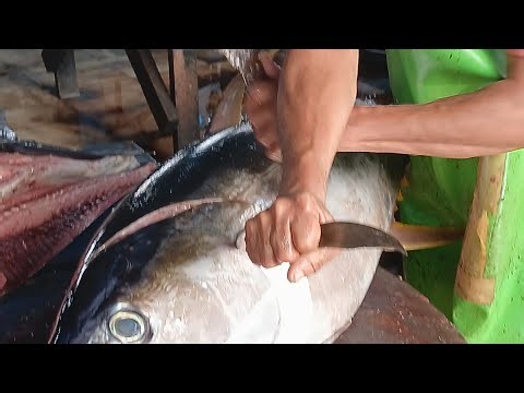 Ultimate cut: Watch a yellowfintuna master reveal methods cuts slicing skill #Liveviral