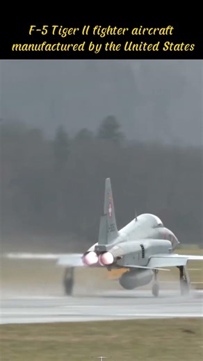 F-5 Tiger II fighter aircraft manufactured by the United States #F5TigerII #F5Fighter