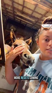 Is this breeding season going to hinder my breeding season next year?😳🐴 | Katie Van Slyke