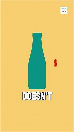 Why Plastic DON'T Decompose?