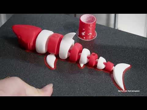 Snapmaker J1: Dual-color Printing (Complete timelapse version)