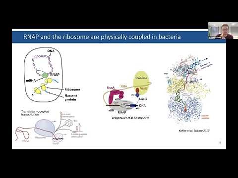 Developing crosslinking mass spectrometry - Dr Francis O'Reilly (Technische Universität Berlin)