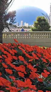 Views of The famous Cloud Gate sculpture in Millennium Park | Chicago Epic