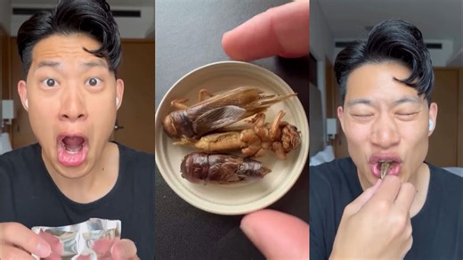 'Bro Ate It Like Chips': Netizens Shocked After Watching Thai-Chinese Man Eating Crispy Giant Crickets In Viral Video