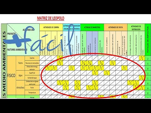 Making the cells of the Leopold Matrix - Simple explanation with template