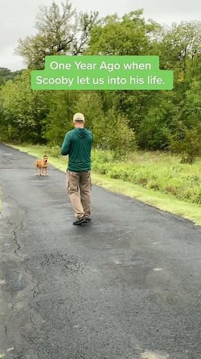 ✨ One Year later ✨ Sending a Scooby 🐾 to our followers! #Scooby #Love #Day #dogs #dogsofttiktok