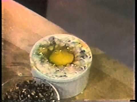 Viewer Mail with Mark Hamill on Letterman, April 19, 1984