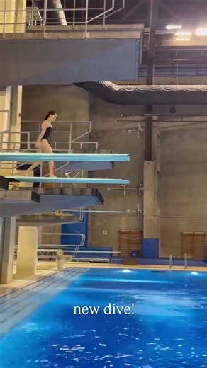 Why Springboard Diving Is Harder Than It Looks