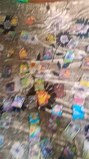 my Pokemon card collection