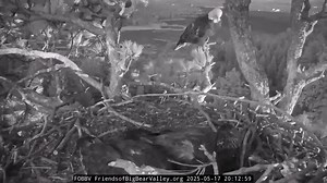 702K views · 23K reactions | Stepping up and branching out… On...