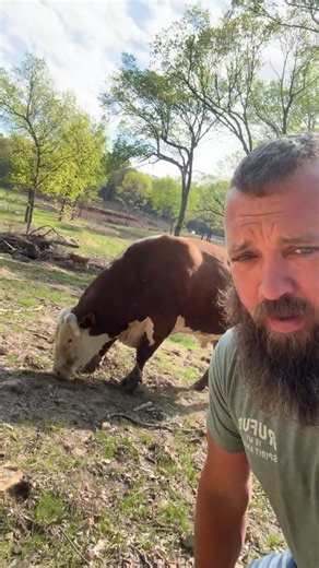 Please hit the subscribe button. I promise we won’t disappoint. #rufusthebull