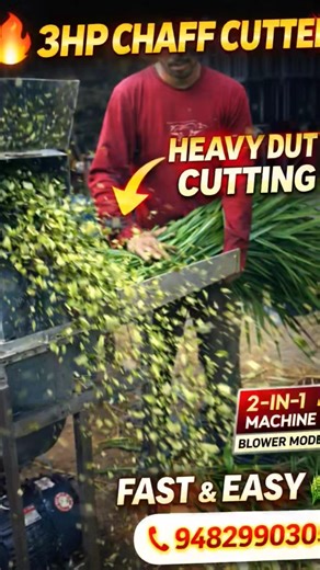 3HP Heavy Duty Chaff Cutter Blower Model | 2-in-1 System | Fast Cutting Machine for Farmers 🚜.