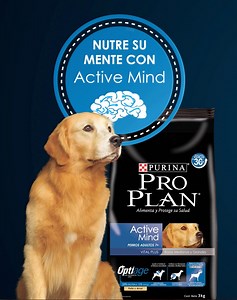 44K views · 653 reactions | PURINA® PRO PLAN® Active Mind 7+ con tecnología exclusiva Optiage: formulado con aceites botánicos que proveen una fuente alternativa de energía para el cerebro en perros de 7 o más años. | Purina Pro Plan | Facebook