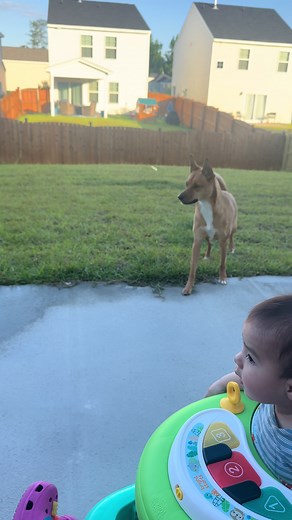 When your are scared sprinklers and they turn on during your playtime 😂