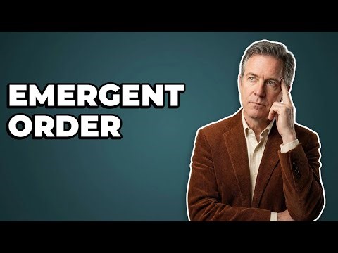 How Is Control Absent In Self-Organizing Systems?