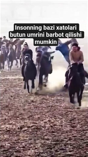 XUDO SAQLASIN 🥺👍🫣 #automobile #mb140clubbelarus #farming #kamaz4310 #mtz80 #cow #bull #traktor #love