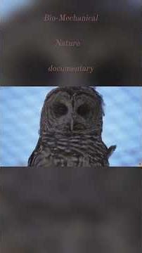 The Secret Physics of Owls (26‑Minute) (ANALYSIS.) documentary bio.