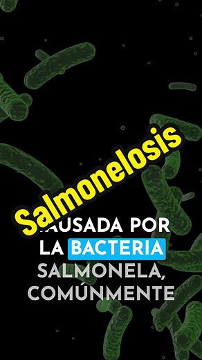 Salmonelosis: Prevención y Cuidados de la Infección por Salmonela