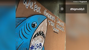 Here are 7 great shark recipes and where you can find shark tacos in STL