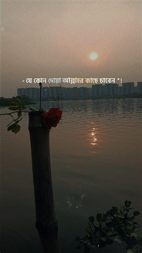 jummah mubarak ✨️ #islamicreminder #youtubeshorts #motivation #allah #deen #viral #jummamubarak