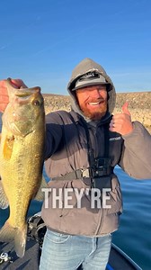 4.3K views · 36 reactions | “Pre-spawn giants.” “Post-spawn...