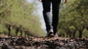 Walking, Sneakers, Nike. Free Stock Video