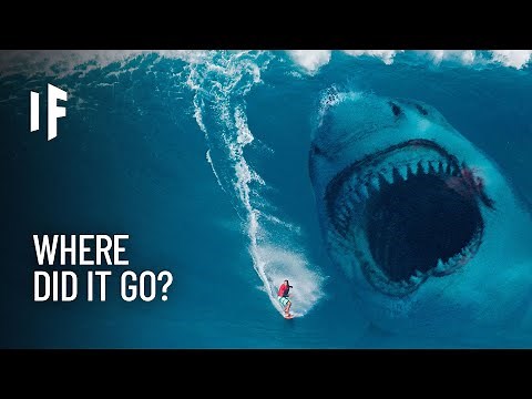 What If the Megalodon Shark Never Went Extinct?
