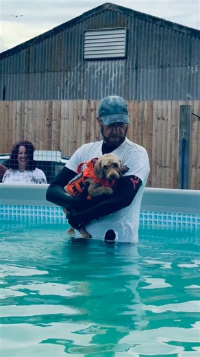 Canine Dip And Dive Maldon -Essex | Cavapoochon Bluey is a rescue doggy who’s not sure of men but he trusted Terry to show him he could swim safely 🐾💦💕🇬🇧 | Instagram