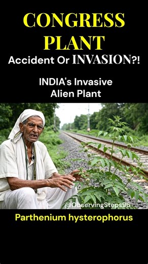 Congress Plant: Silent Invasion Against India?