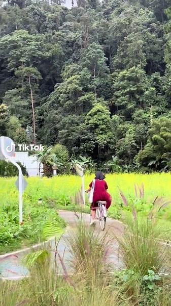 Video của dalahu📸 (@dalahu25) với bản nhạc Iya Lagi - Stevan Pasaribu