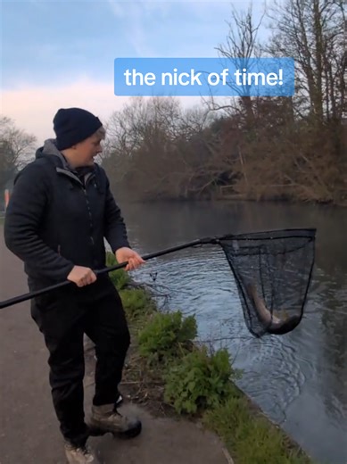 Catching a Personal Best Trout While Fishing for Chub