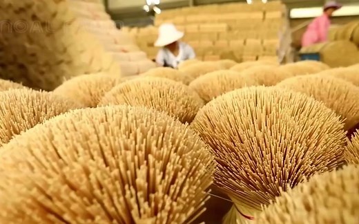 惊人的竹子种植技术 - 工厂竹制品加工 - 竹子收获机