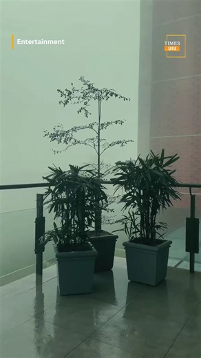 Foggy winter morning at UIU campus ❄ Video | Afsar Uddin | Times UIU