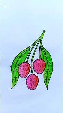 Easy Litchi Drawing | Simple Litchi Sketch #shorts