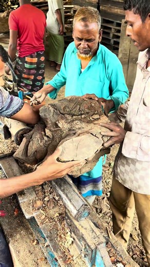 Wood is being split using a digital machine #wood