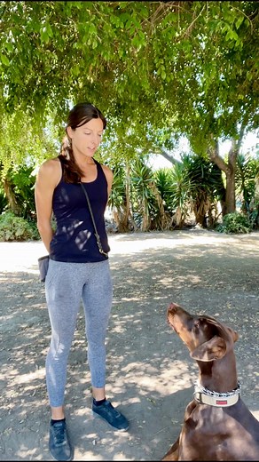 21K views · 545 reactions | Teach a bark & quiet command!...