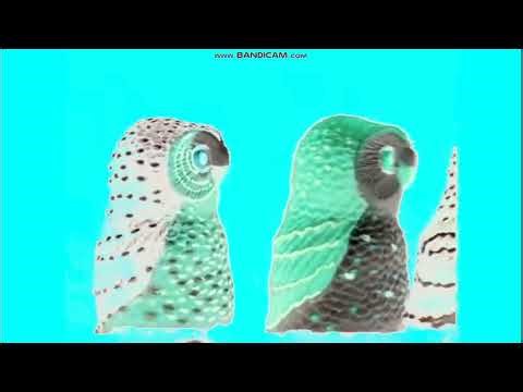 Baby Beethoven Marching Owls Effects Laurel Costello 2