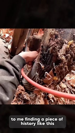 Restoring & Upgrading a 1942 Farmall M Sitting 20 Year! Part 1 | Pak Cricket