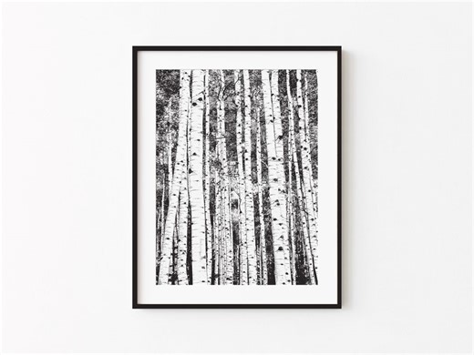 Aspen Trees: Line Art Wall Print, Black and White, Modern Cabin, Home Decor, Colorado Wall Print, Birch Decor - Etsy