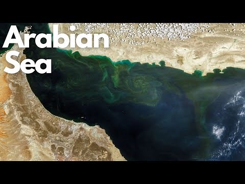 Exploring the Mysteries of the Arabian Sea